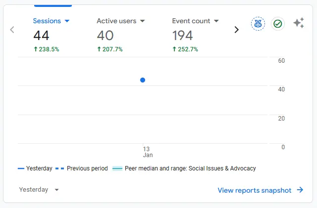 Website Traffic Growth Analytics Google Analytics dashboard showing website traffic growth for Piñeiro English School