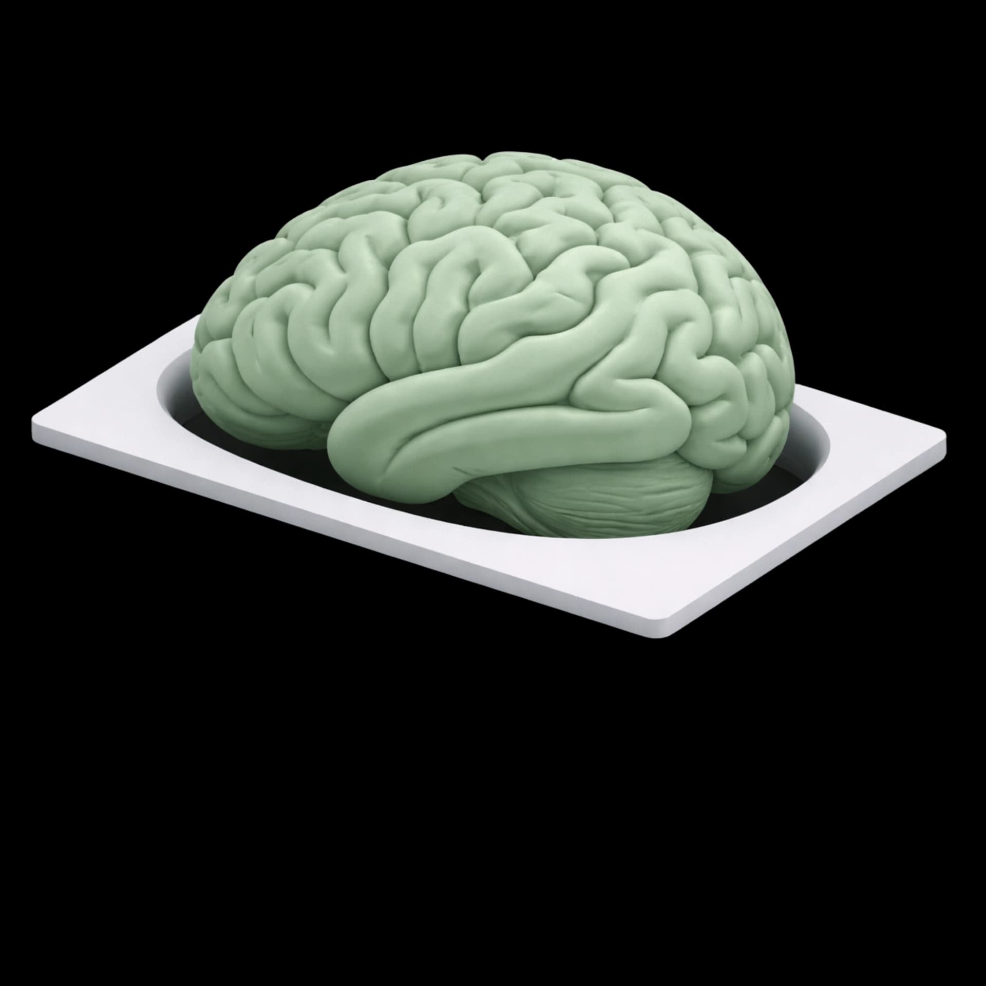 AI and machine learning integration AI and machine learning integration